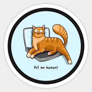 Pet me human! Sticker
